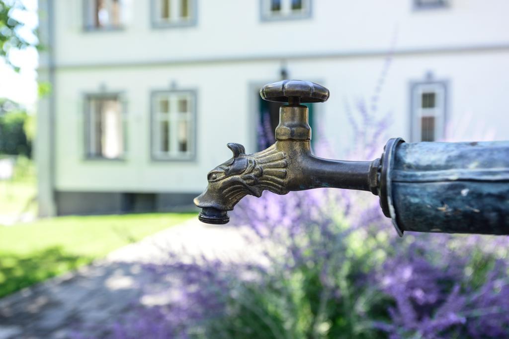 Ferienwohntraum Haller Nötsch 외부 사진